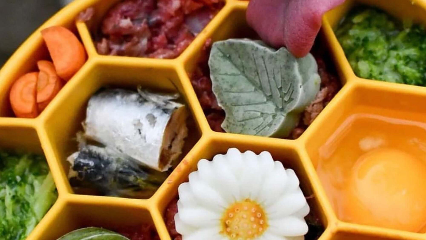 Warum wir uns für SodaPup Produkte entschieden haben !