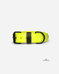 Aqua Classic | BioThane® eyelet collar | NEON Yellow | Gr. S
