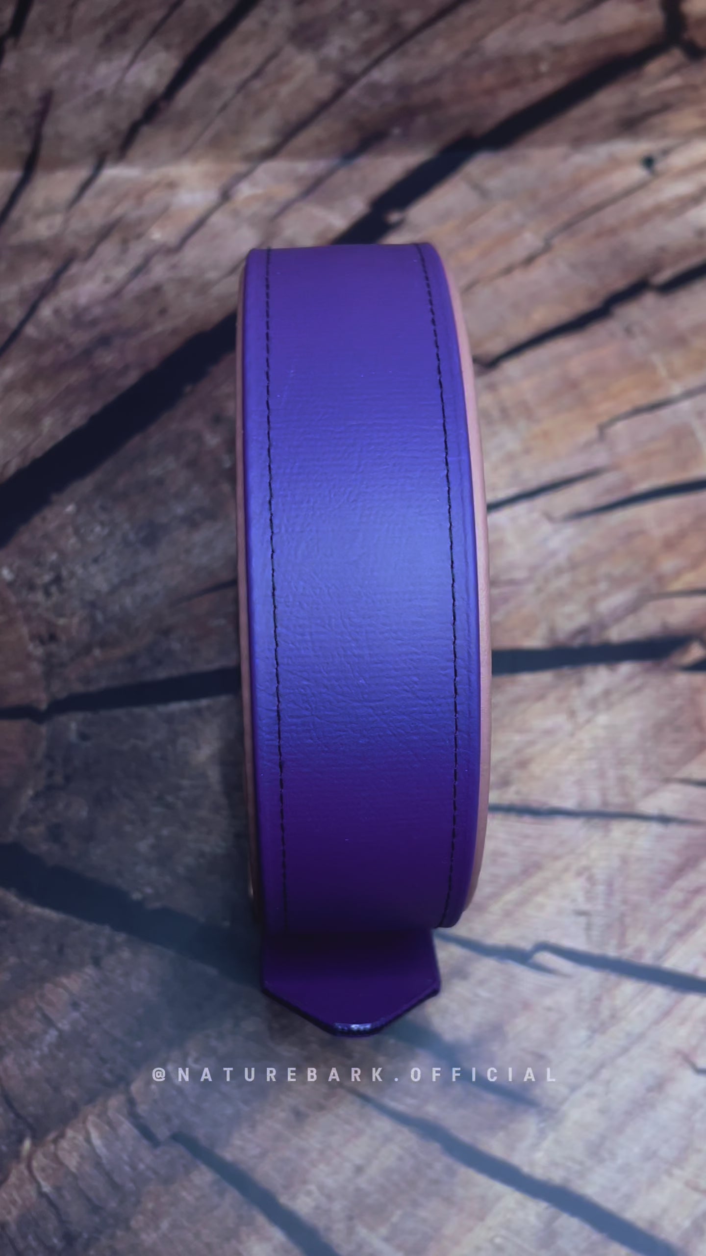 Aqua Classic | BioThane® Ösenhalsband | PREMIUM | GR. L | Purple + Pastell Berry