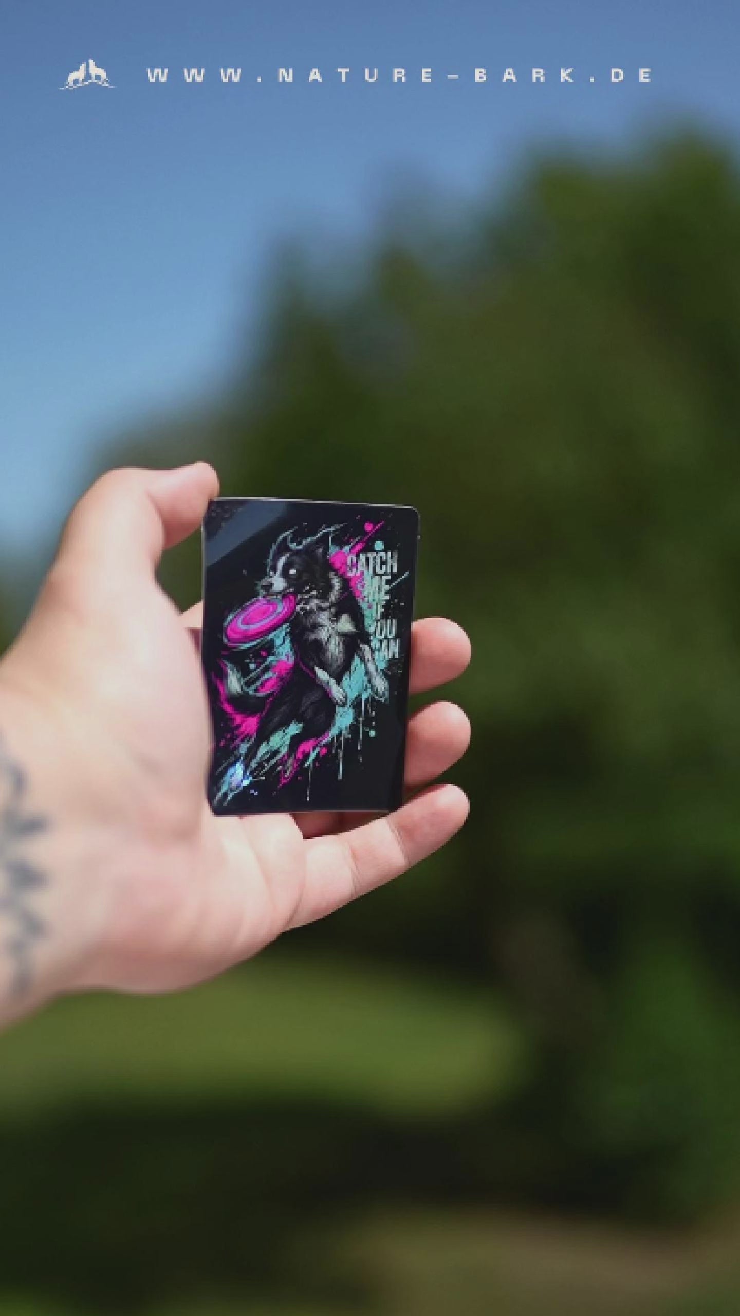 NB Clothing | STICKER | LIMITED | CATCH ME IF YOU CAN | HOLO
