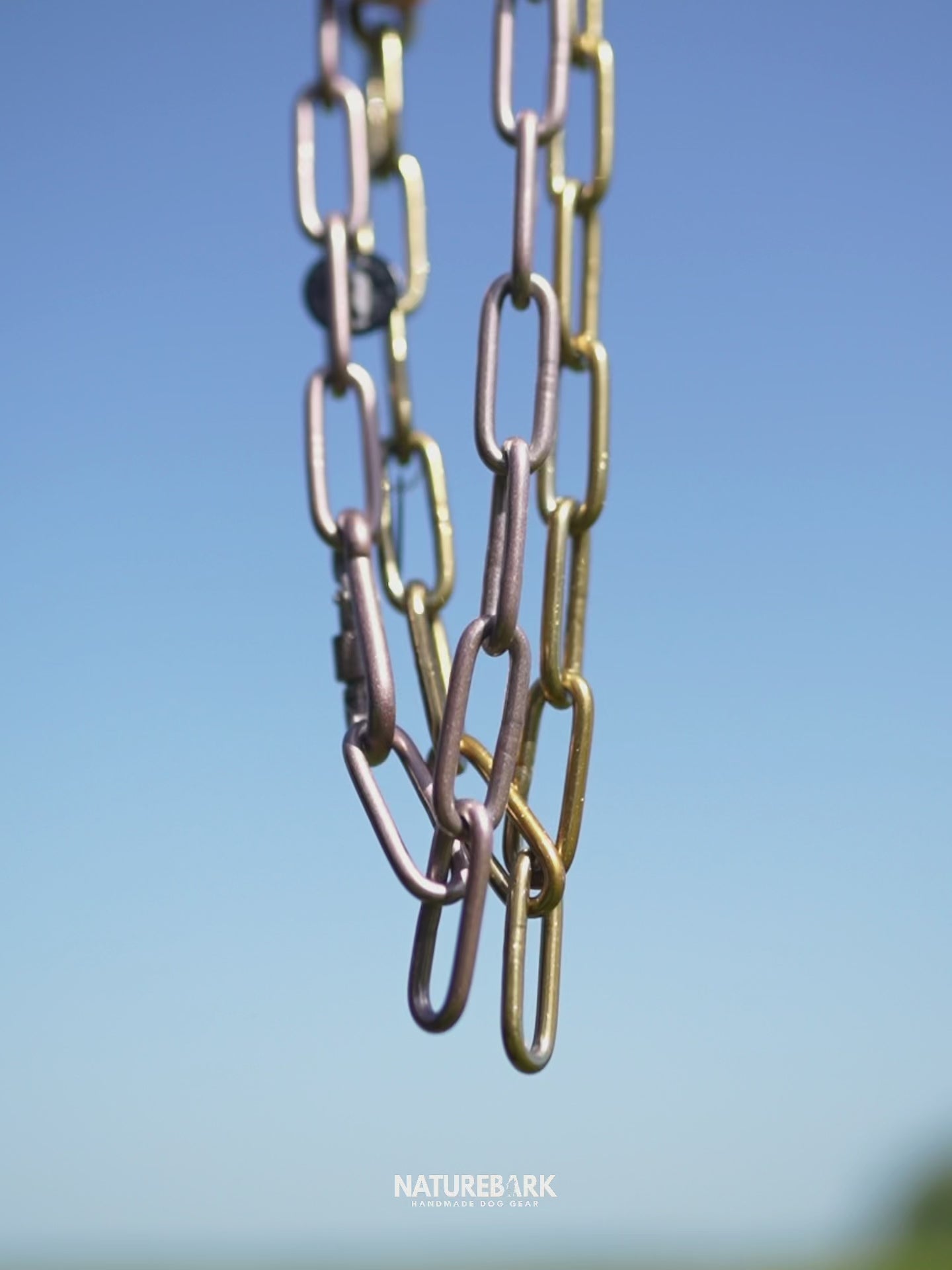 NB Chain | Karabinerhalsband | LIMITED | Sparkling Gold